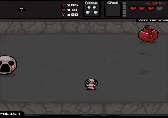 The Binding Of Isaac + Wrath of the Lamb EN Global Steam Digital Key