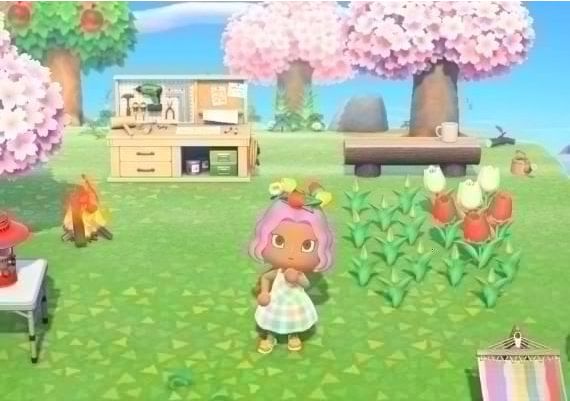 Nintendo eShop PLN PL 250zł Nintendo Digital Key