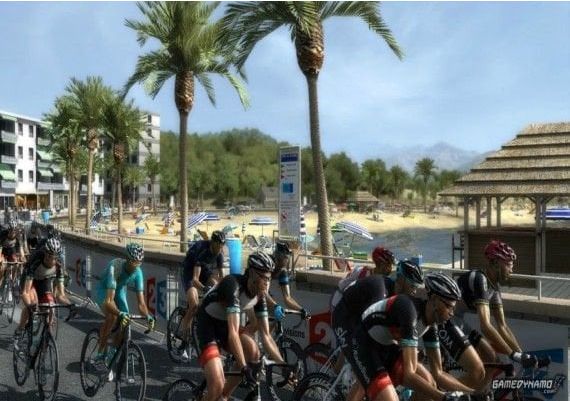 Pro Cycling Manager 2013 EN/DE/FR/IT Global Steam Digital Key