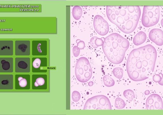 Animal Shelter: Vet Clinic DLC Global Steam Digital Key