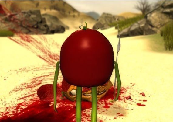 Tomato Way Global Steam Digital Key