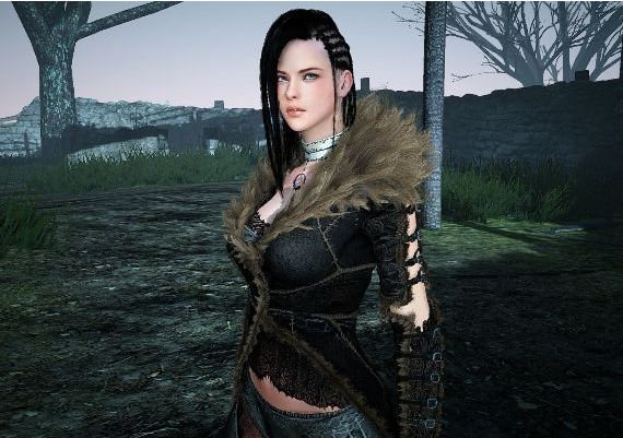 Black Desert Online Traveler Edition EN Global Official website Digital Key