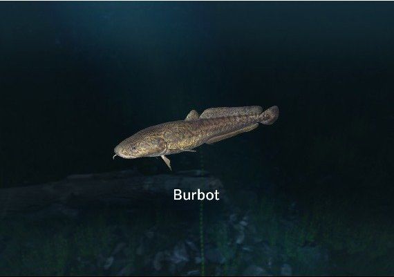 Ultimate Fishing Simulator - New Fish Species DLC Global Steam Digital Key