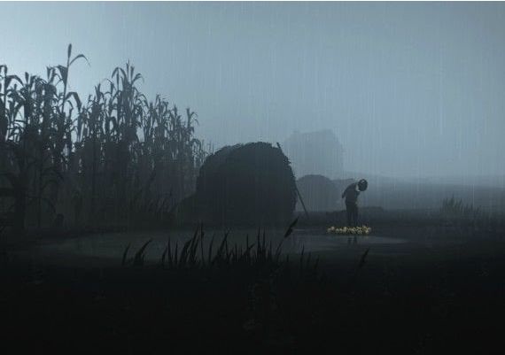 Inside EN/DE/FR/IT Global Steam Digital Key