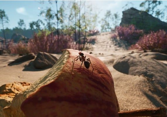 Empire of the Ants EN Switzerland Xbox Series Digital Key