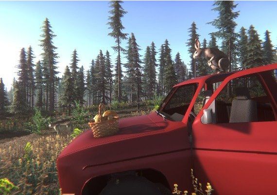 Mushroom Challenge Global Steam Digital Key