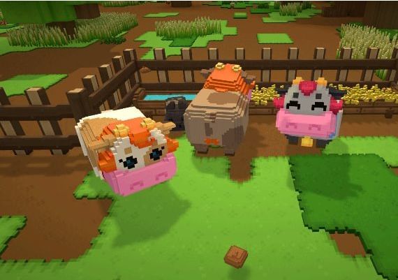 Staxel Global Steam Digital Key