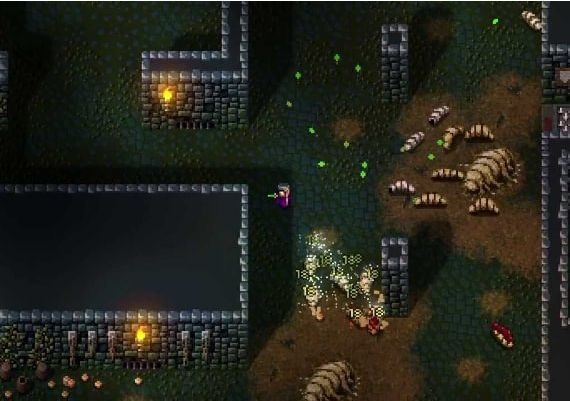 Hammerwatch EN Global Steam Digital Key