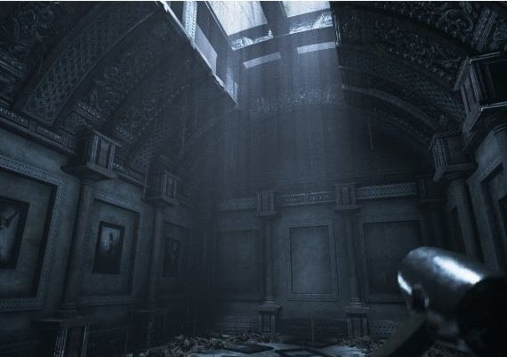 Visage EU Steam Digital Key