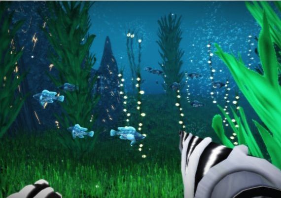 FarSky EN Global Steam Digital Key