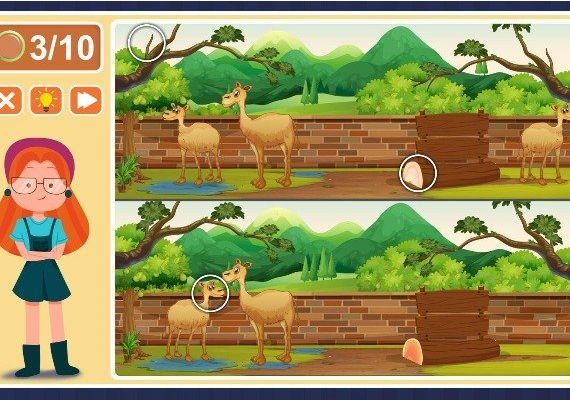 Viki Spotter: Zoo EN Global Steam Digital Key