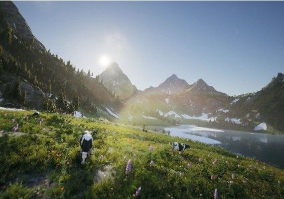 TRYP FPV: The Drone Racer Simulator EN Global Steam Digital Key