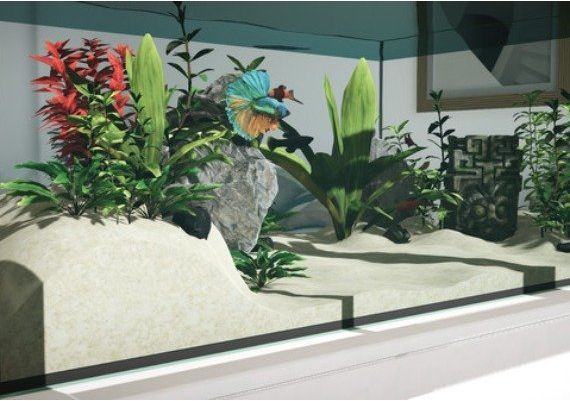 Aquarium Designer EN Global Steam Digital Key