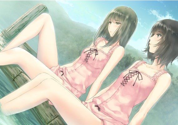 Flowers: Le Volume Sur Ete EN/JA/ZH Global Steam Digital Key