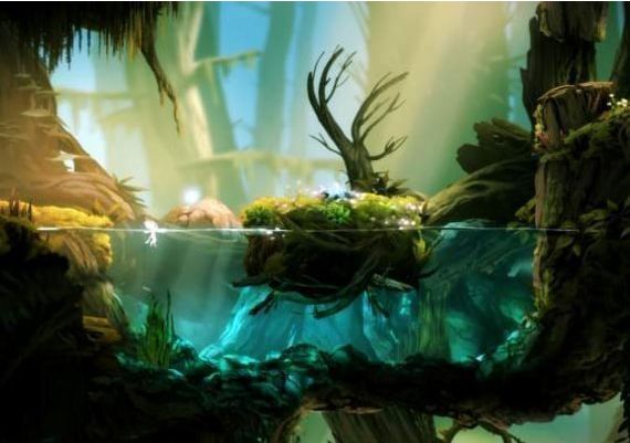 Ori and the Will of the Wisps Turkey Xbox One/Series Digital Key