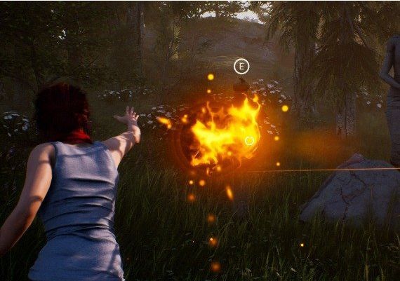 Fira EN/ES Global Steam Digital Key