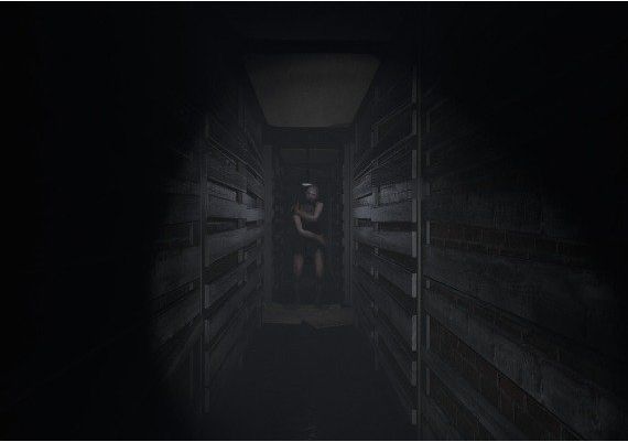 Within Skerry EN Global Steam Digital Key