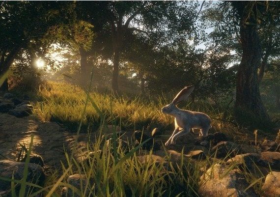 theHunter: Call of the Wild - Rancho del Arroyo DLC EN United Kingdom Xbox One/Series Digital Key