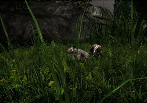 Miasmata EN Global Steam Digital Key