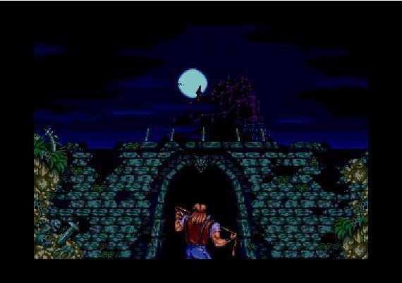 Castlevania - Anniversary Collection EN/JA United States Steam Digital Key