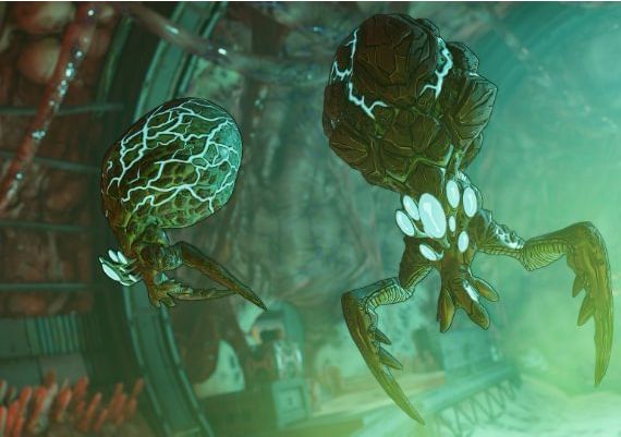 Borderlands 3 - Guns, Love, and Tentacles DLC EN EU Steam Digital Key