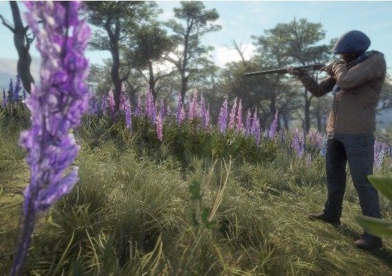 theHunter: Call of the Wild - Weapon Pack 2 DLC Global Steam Digital Key