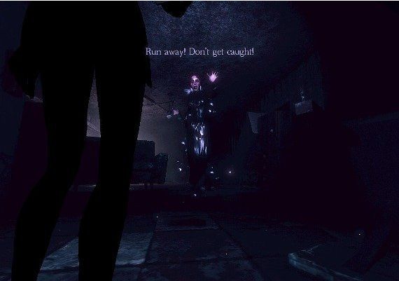 The 9th Gate EN/PT/ZH/TR/ZH Global Steam Digital Key