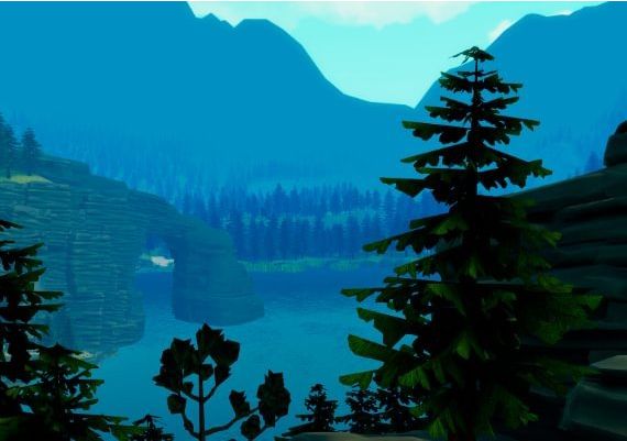 Catch & Release Global Steam Digital Key