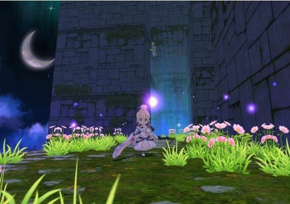 Forward to the Sky EN/DE/JA/KO/ZH/ES/ZH Global Steam Digital Key