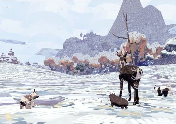 Meadow EN Global Steam Digital Key