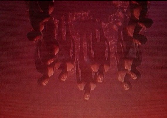 The Fridge is Red RU/CIS Steam Digital Key