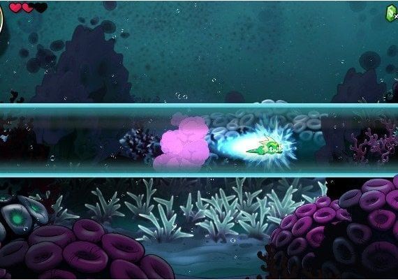 Shantae and the Seven Sirens EN Colombia Xbox One/Series Digital Key