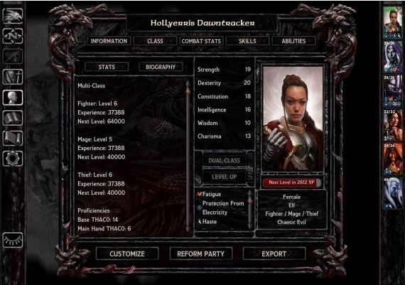 Baldur's Gate: Faces of Good and Evil DLC Global Steam Digital Key