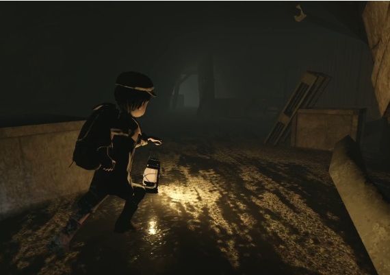 Let Me Out EN/DE/FR/JA/PT/ZH/ES/ZH Global Steam Digital Key