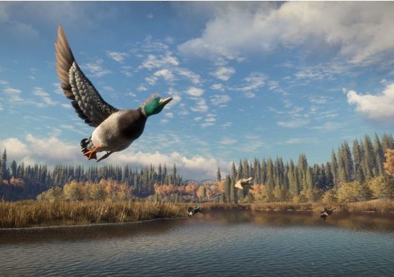 theHunter: Call of the Wild - Emerald Coast Cosmetic Pack DLC EN Global Steam Digital Key