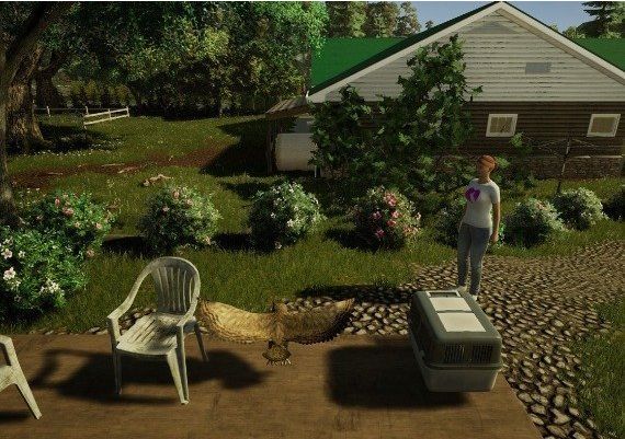 Animal Doctor EN/DE/FR/IT/ES EU Nintendo Switch Digital Key