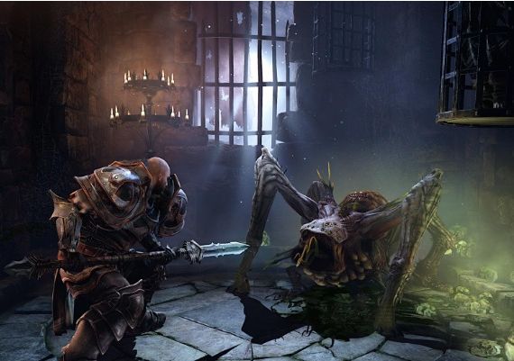 Lords of the Fallen - The Foundation Boost DLC EN/DE/FR/IT/PL/RU/ES Global Steam Digital Key