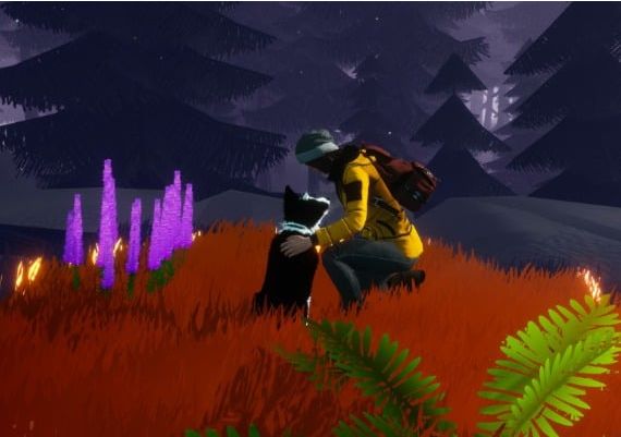 Farewell North EN Colombia Xbox Series Digital Key