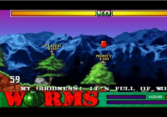 Worms EN Global Steam Digital Key