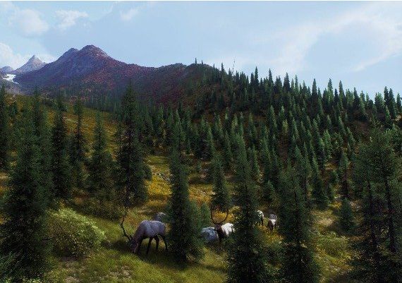 Way of the Hunter: Aurora Shores DLC EN Argentina Xbox Series Digital Key