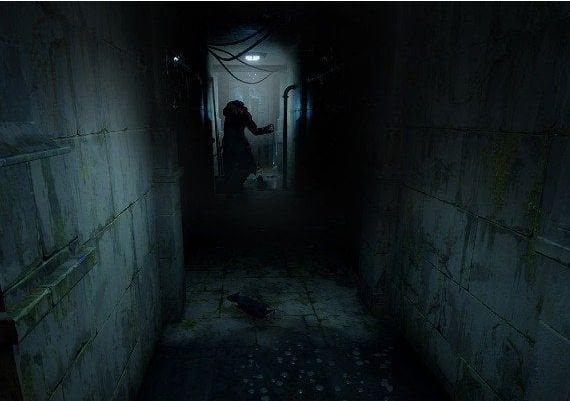 Horror Tales: The Wine EN EU PS4/5 Digital Key