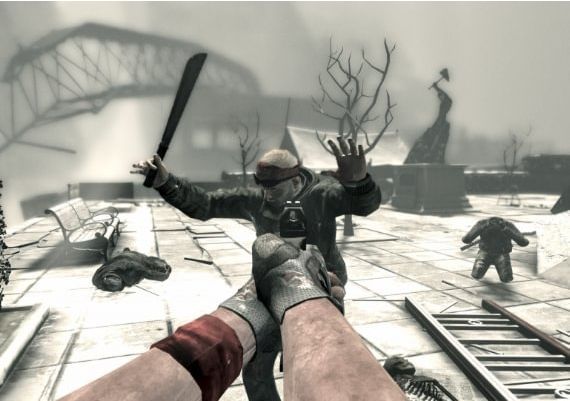 I am Alive EN/DE/FR/IT/ES Global Steam Digital Key