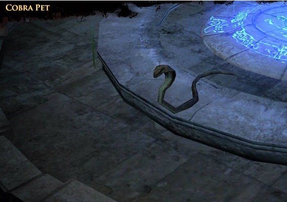Path of Exile - Arctic Crown + Cobra Pet Bundle DLC EN/DE/FR/PT/RU/ES/TH Global Official website Digital Key