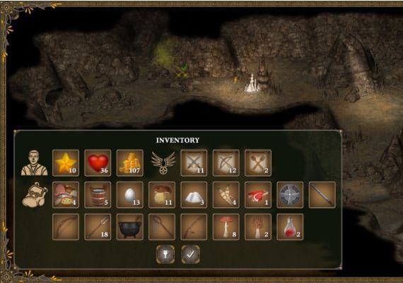 Hero of the Kingdom III EN/FR/IT Global Steam Digital Key