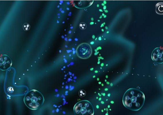 Cyto EN Global Steam Digital Key