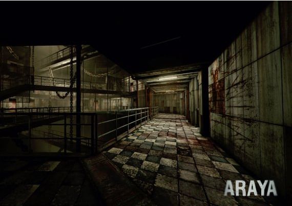 ARAYA EN/ZH Global Steam Digital Key