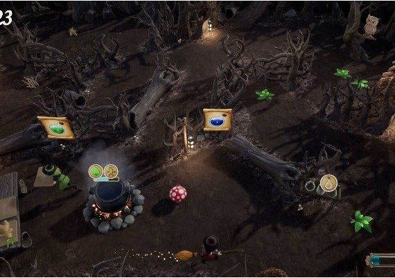 Witchtastic EN Global Steam Digital Key