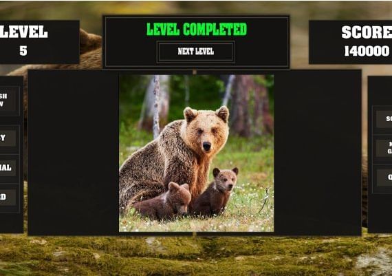 Fitzzle Mighty Bears EN Global Steam Digital Key