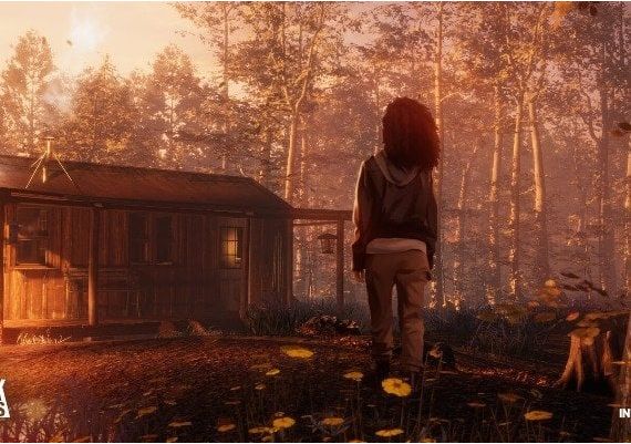 As Dusk Falls EN Turkey Xbox One/Series/Windows Digital Key