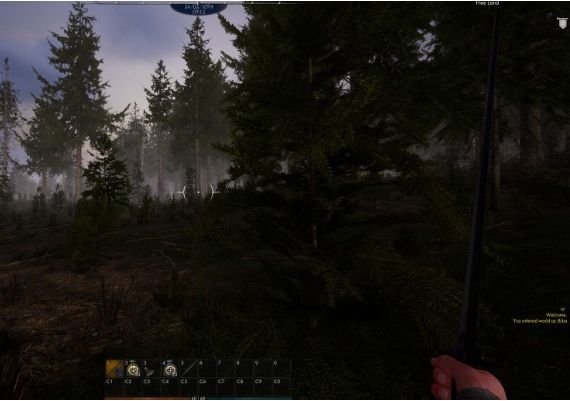 Reign of Guilds EN/DE/FR/PT/RU/ES Global Steam Digital Key